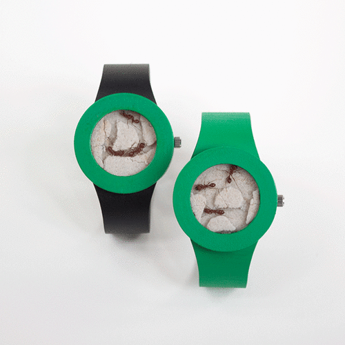 שעון נמלים, חוות נמלים על היד (צילום: analogwatchco.com)